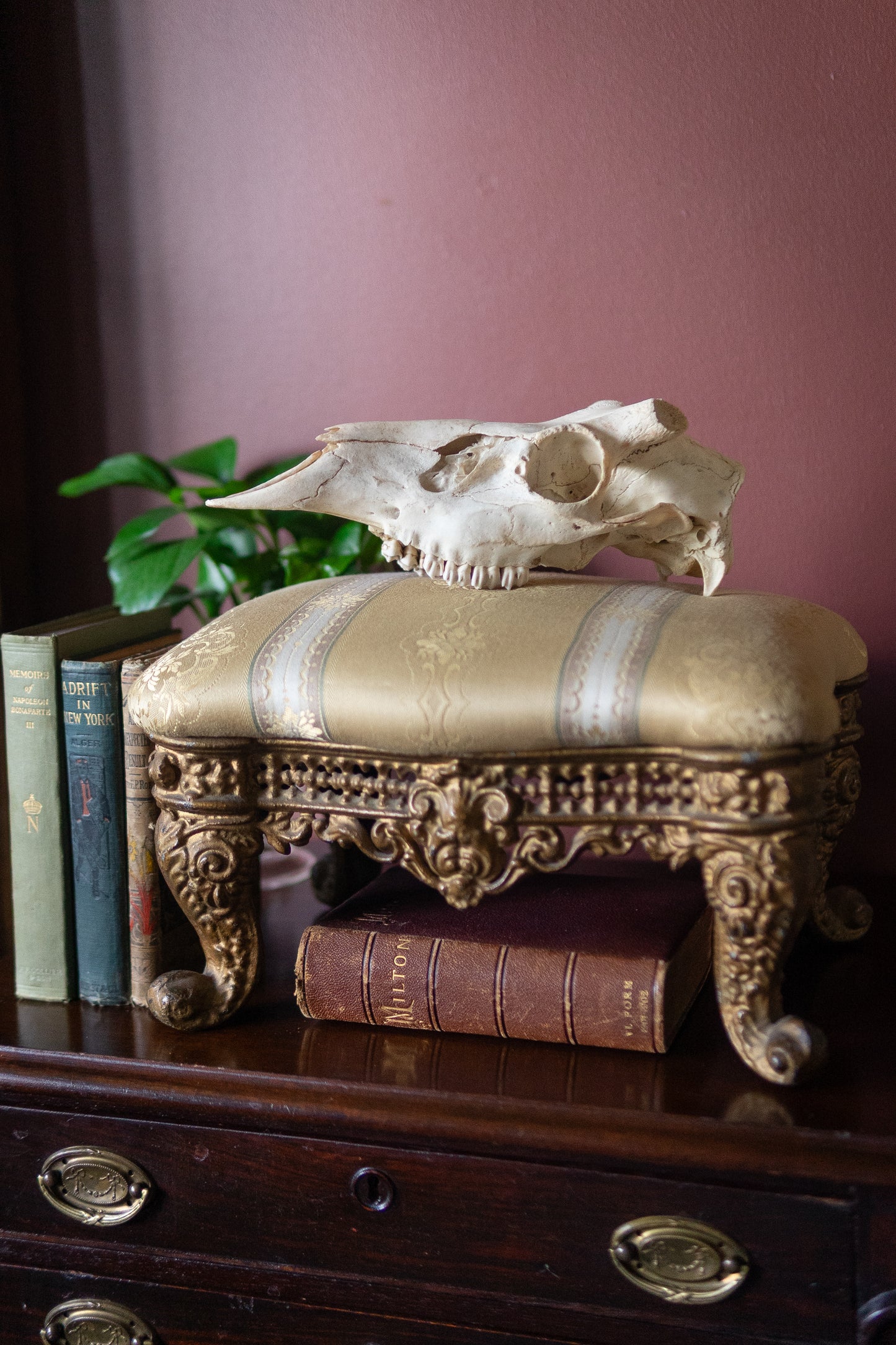 Antique cast iron victorian footstool