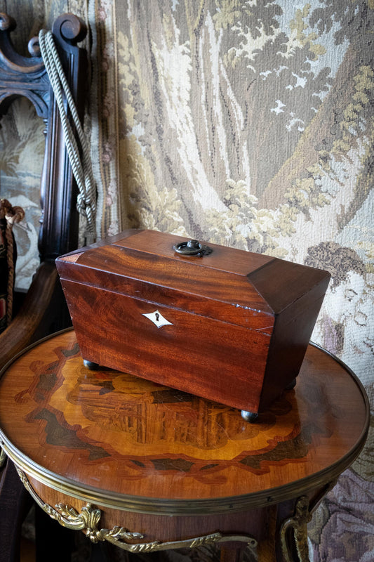 Antique early 19th Century Mahogany Tea Caddy. Georgian Style Tea Box