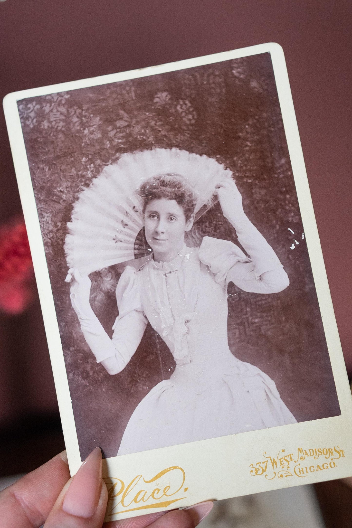 The victorian divas Set of 6 Antique Victorian Portrait Photos CDV cabinet cards