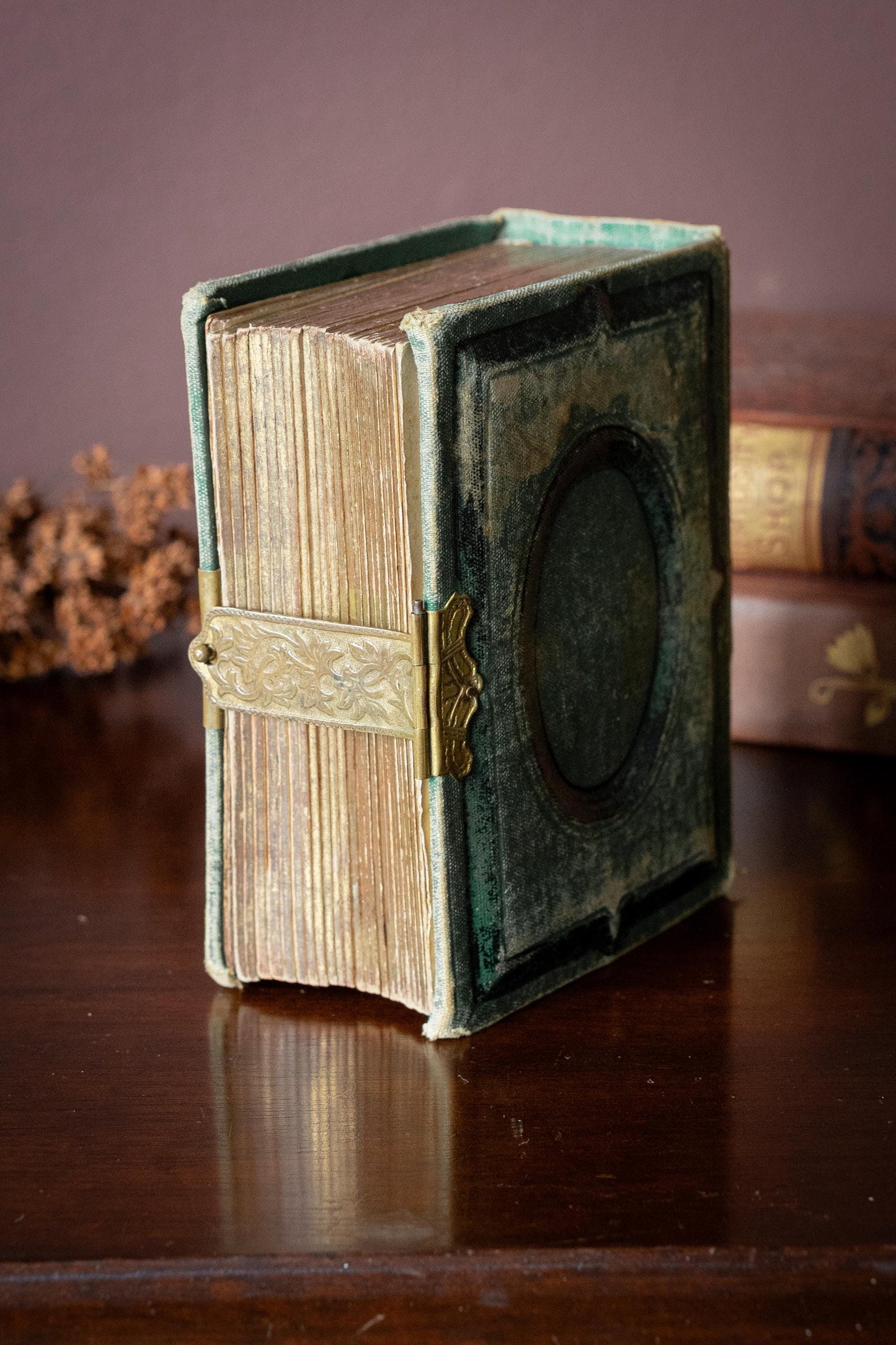 Antique Victorian Photo Album with Tintypes