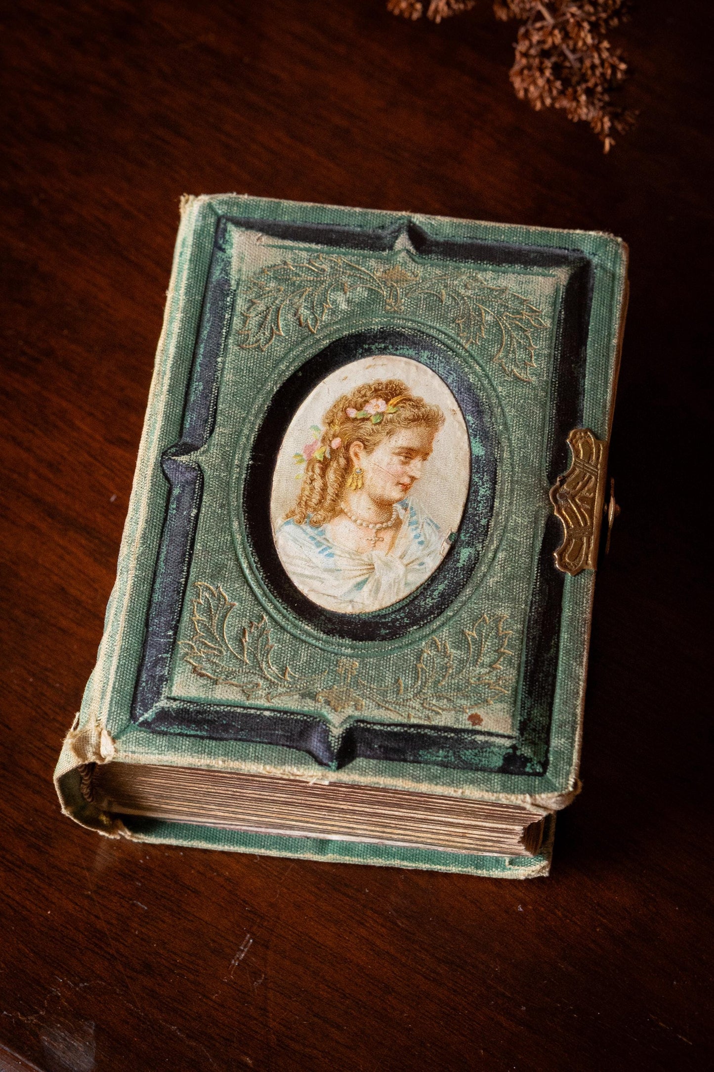 Antique Victorian Photo Album with Tintypes
