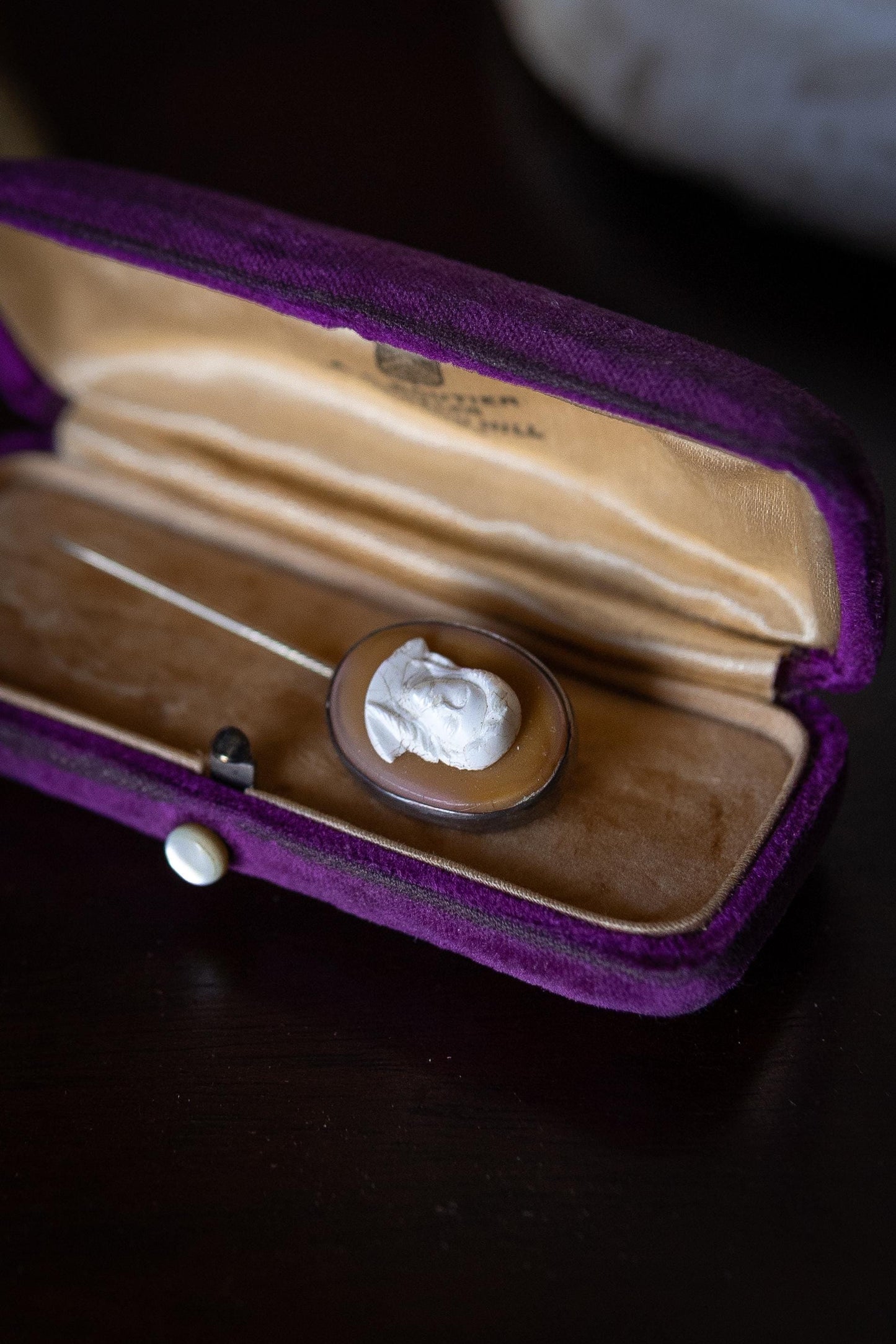 Vintage cameo stick pin in velvet box